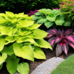 ornamental_foliage_garden.png